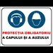 Placuta protectia obligatoriu a capului si a auzului